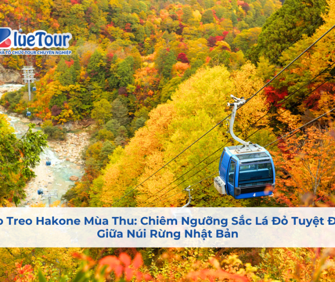 Cáp Treo Hakone Mùa Thu: Chiêm Ngưỡng Sắc Lá Đỏ Tuyệt Đẹp Giữa Núi Rừng Nhật Bản