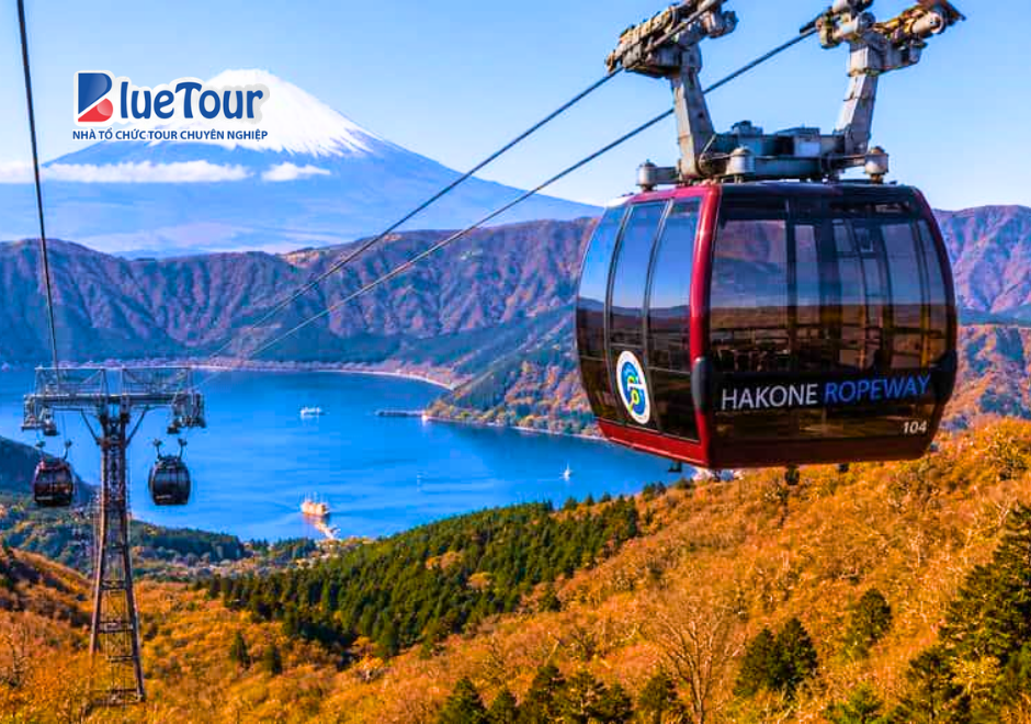 Cáp Treo Hakone Mùa Thu: Chiêm Ngưỡng Sắc Lá Đỏ Tuyệt Đẹp Giữa Núi Rừng Nhật Bản