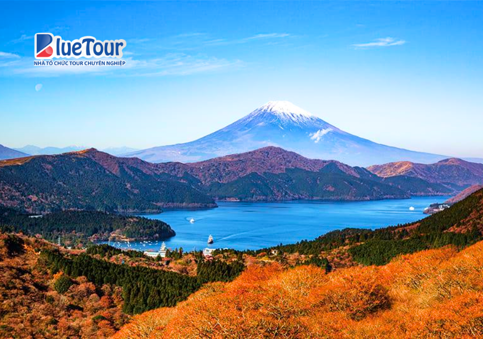 Cáp Treo Hakone Mùa Thu: Chiêm Ngưỡng Sắc Lá Đỏ Tuyệt Đẹp Giữa Núi Rừng Nhật Bản