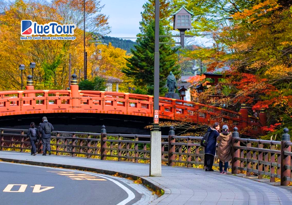 Chiêm Ngưỡng Vẻ Đẹp Của Cầu Shinkyo Mùa Lá Vàng Giữa Rừng Thu Nikko