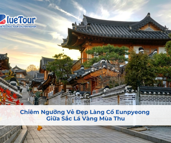 Chiêm Ngưỡng Vẻ Đẹp Làng Cổ Eunpyeong Giữa Sắc Lá Vàng Mùa Thu