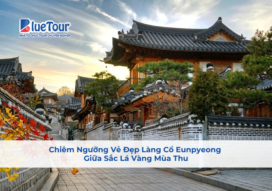 Chiêm Ngưỡng Vẻ Đẹp Làng Cổ Eunpyeong Giữa Sắc Lá Vàng Mùa Thu