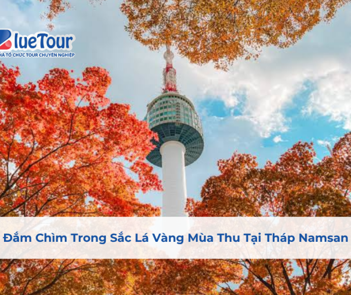 Đắm Chìm Trong Sắc Lá Vàng Mùa Thu Tại Tháp Namsan