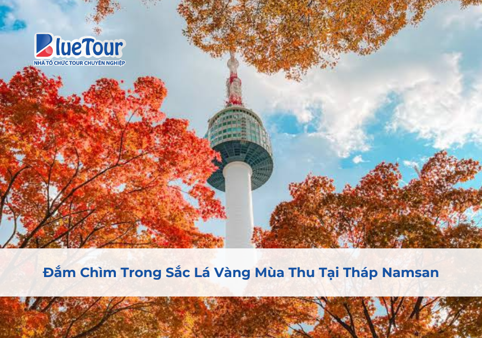 Đắm Chìm Trong Sắc Lá Vàng Mùa Thu Tại Tháp Namsan