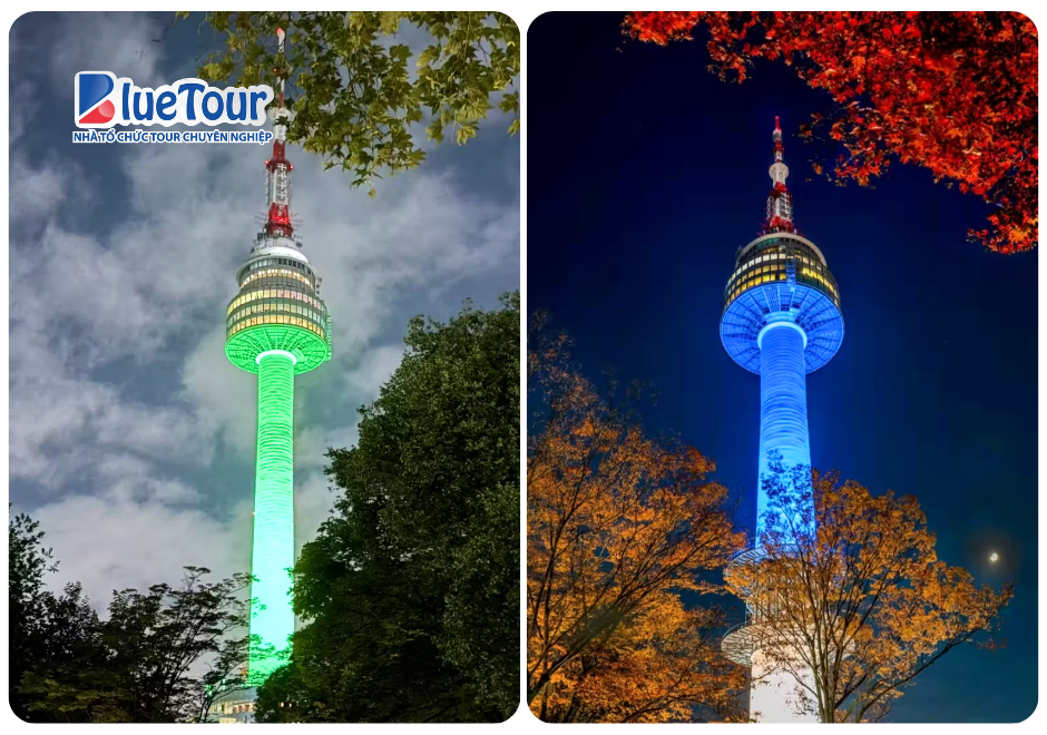 Đắm Chìm Trong Sắc Lá Vàng Mùa Thu Tại Tháp Namsan