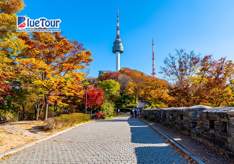 Đắm Chìm Trong Sắc Lá Vàng Mùa Thu Tại Tháp Namsan