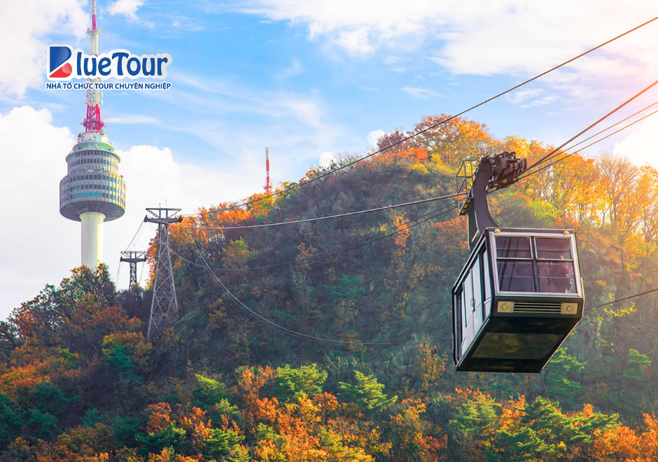 Đắm Chìm Trong Sắc Lá Vàng Mùa Thu Tại Tháp Namsan
