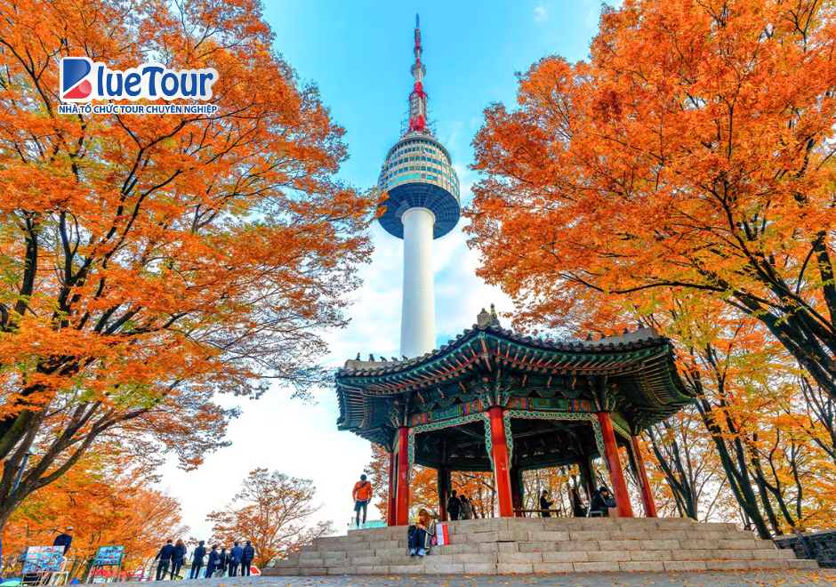 Đắm Chìm Trong Sắc Lá Vàng Mùa Thu Tại Tháp Namsan