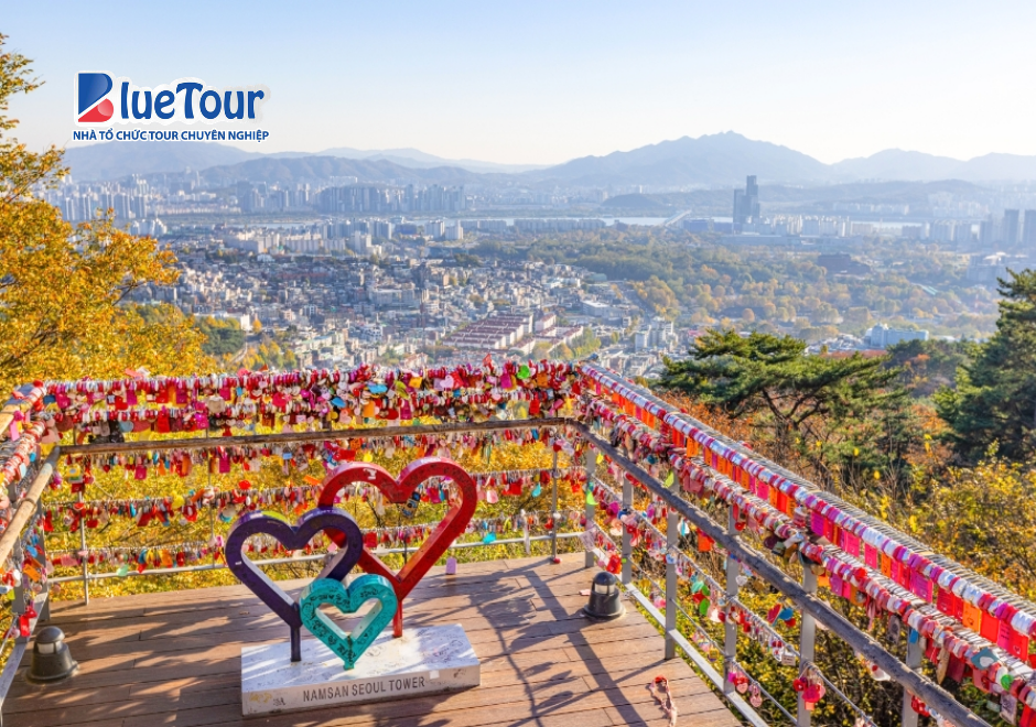 Đắm Chìm Trong Sắc Lá Vàng Mùa Thu Tại Tháp Namsan