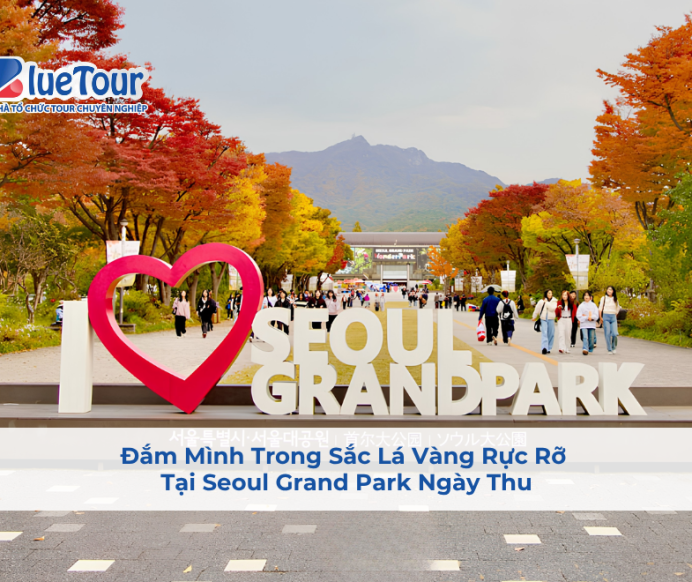 Đắm Mình Trong Sắc Lá Vàng Rực Rỡ Tại Seoul Grand Park Ngày Thu