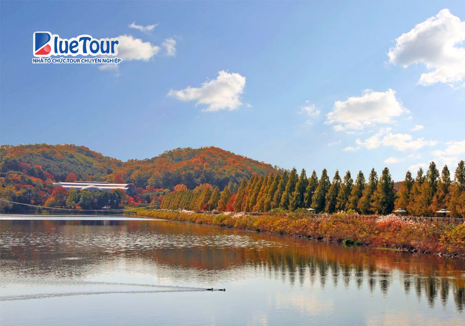 Đắm Mình Trong Sắc Lá Vàng Rực Rỡ Tại Seoul Grand Park Ngày Thu