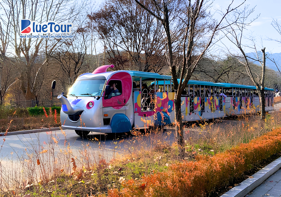Đắm Mình Trong Sắc Lá Vàng Rực Rỡ Tại Seoul Grand Park Ngày Thu