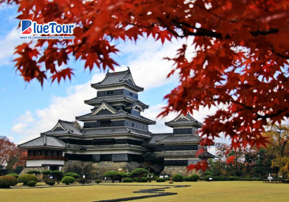 Hành Trình Chiêm Ngưỡng Lâu Đài Matsumoto Giữa Sắc Thu Nhật Bản
