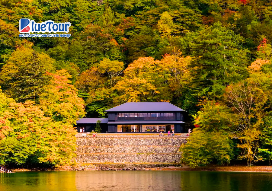 Hồ Chuzenji Mùa Thu: Bức Tranh Lá Vàng Tuyệt Đẹp Giữa Núi Rừng Nikko