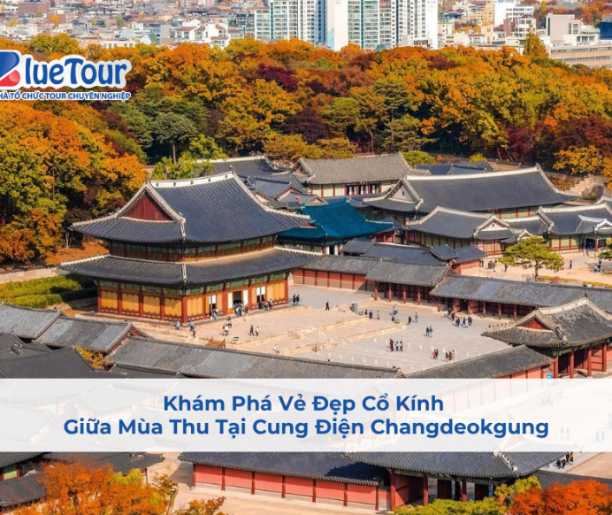 Khám Phá Vẻ Đẹp Cổ Kính Giữa Mùa Thu Tại Cung Điện Changdeokgung