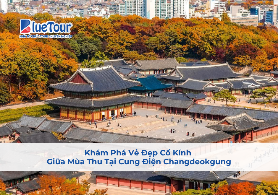 Khám Phá Vẻ Đẹp Cổ Kính Giữa Mùa Thu Tại Cung Điện Changdeokgung