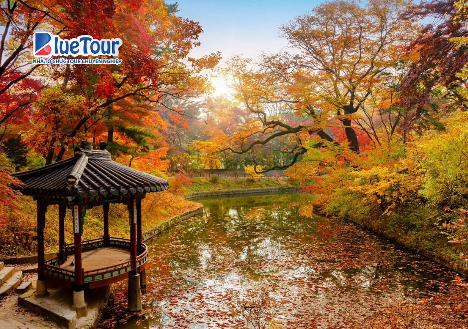 Khám Phá Vẻ Đẹp Cổ Kính Giữa Mùa Thu Tại Cung Điện Changdeokgung