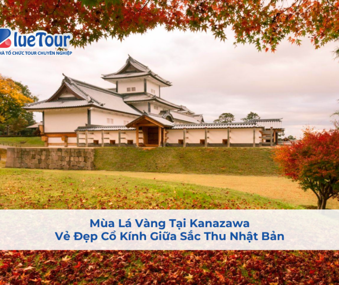 Mùa Lá Vàng Tại Kanazawa: Vẻ Đẹp Cổ Kính Giữa Sắc Thu Nhật Bản