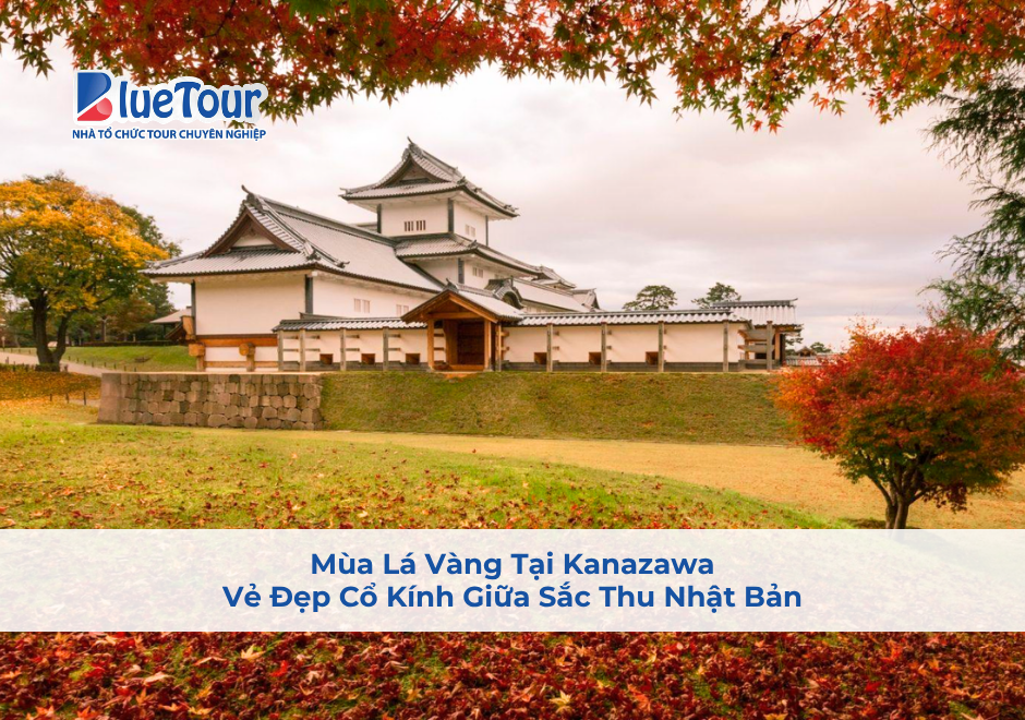 Mùa Lá Vàng Tại Kanazawa: Vẻ Đẹp Cổ Kính Giữa Sắc Thu Nhật Bản