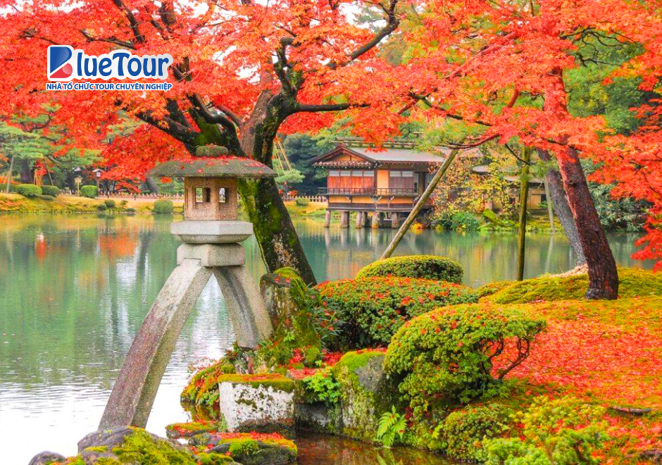 Mùa Lá Vàng Tại Kanazawa: Vẻ Đẹp Cổ Kính Giữa Sắc Thu Nhật Bản