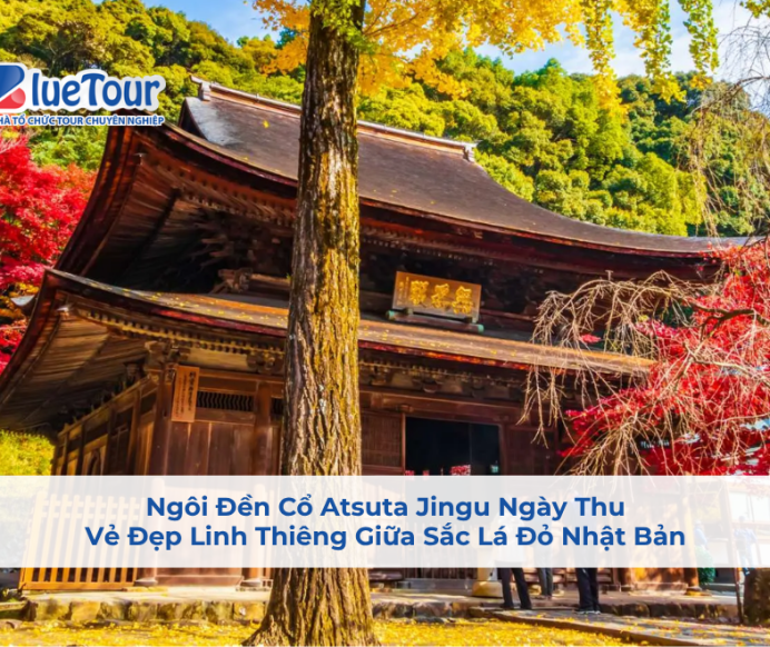 Ngôi Đền Cổ Atsuta Jingu Ngày Thu: Vẻ Đẹp Linh Thiêng Giữa Sắc Lá Đỏ Nhật Bản
