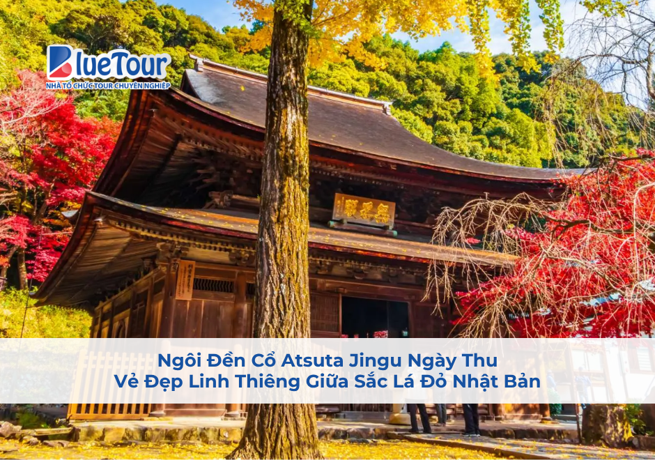 Ngôi Đền Cổ Atsuta Jingu Ngày Thu: Vẻ Đẹp Linh Thiêng Giữa Sắc Lá Đỏ Nhật Bản