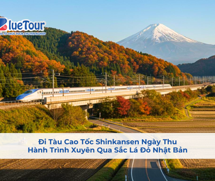 Đi Tàu Cao Tốc Shinkansen Ngày Thu: Hành Trình Xuyên Qua Sắc Lá Đỏ Nhật Bản