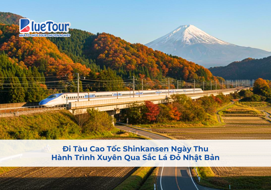 Đi Tàu Cao Tốc Shinkansen Ngày Thu: Hành Trình Xuyên Qua Sắc Lá Đỏ Nhật Bản