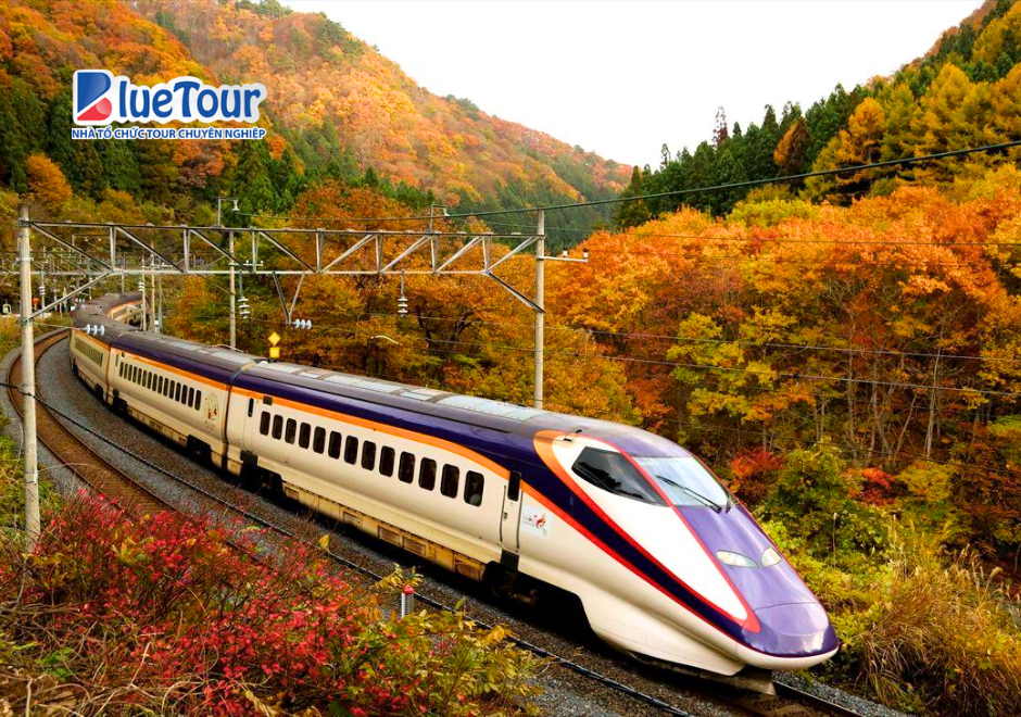 Đi Tàu Cao Tốc Shinkansen Ngày Thu: Hành Trình Xuyên Qua Sắc Lá Đỏ Nhật Bản