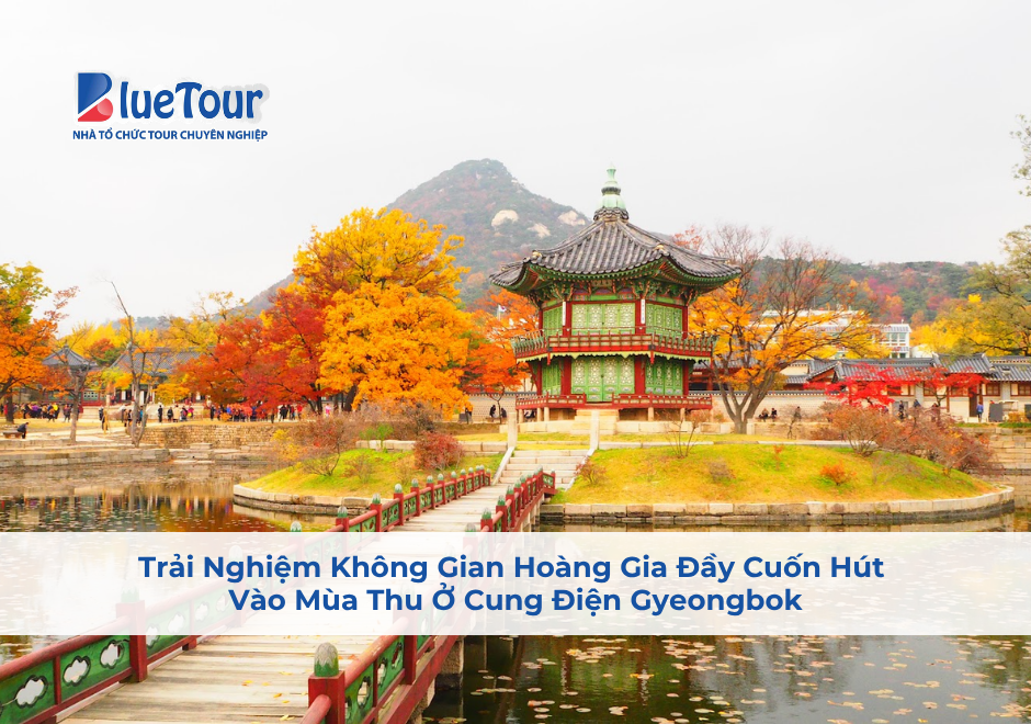 Trải Nghiệm Không Gian Hoàng Gia Đầy Cuốn Hút Vào Mùa Thu Ở Cung Điện Gyeongbok