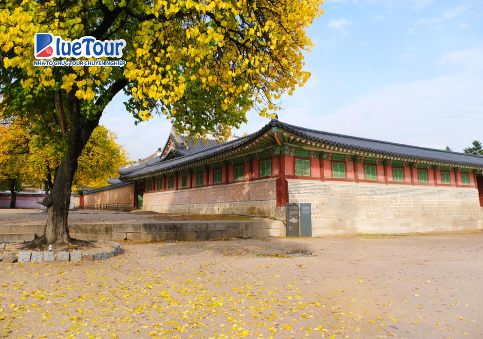 Trải Nghiệm Không Gian Hoàng Gia Đầy Cuốn Hút Vào Mùa Thu Ở Cung Điện Gyeongbok