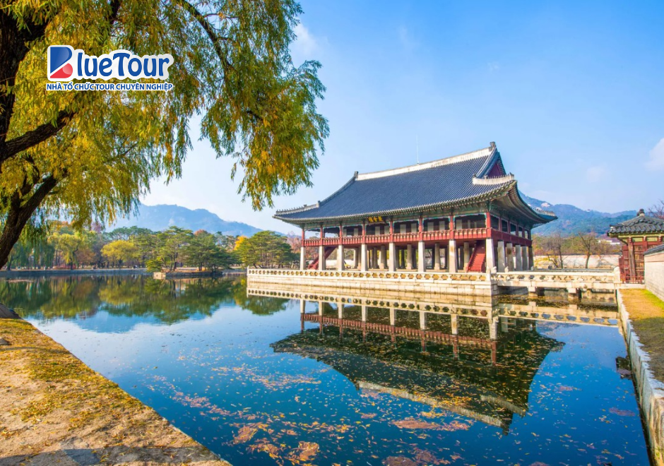 Trải Nghiệm Không Gian Hoàng Gia Đầy Cuốn Hút Vào Mùa Thu Ở Cung Điện Gyeongbok