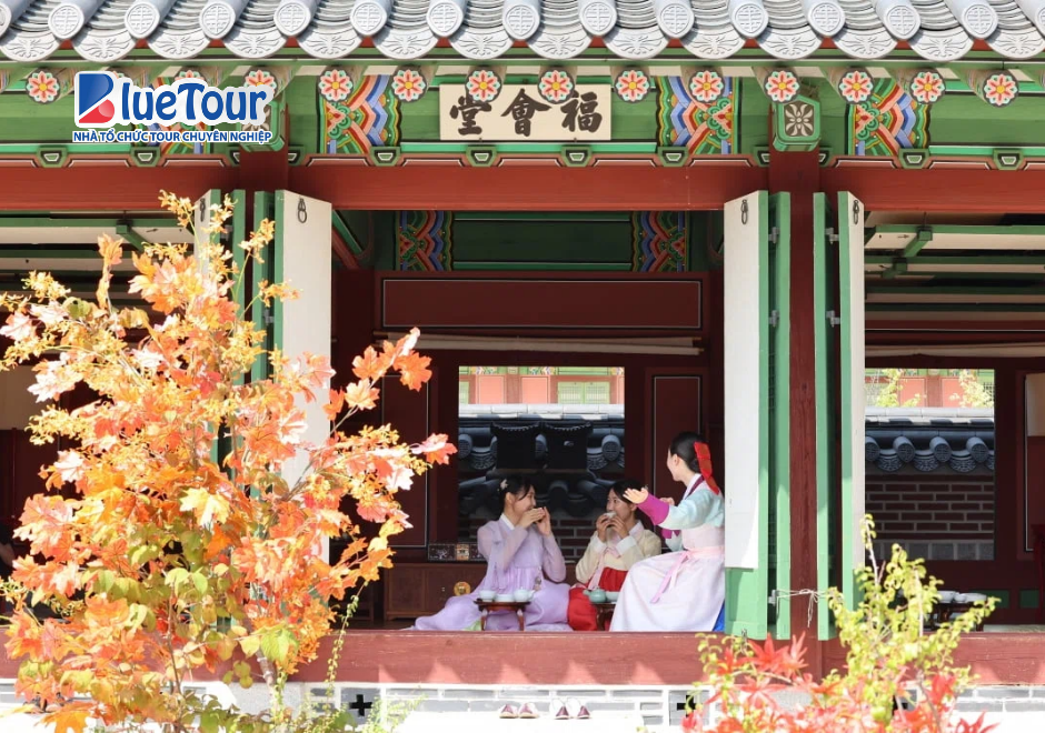 Trải Nghiệm Không Gian Hoàng Gia Đầy Cuốn Hút Vào Mùa Thu Ở Cung Điện Gyeongbok