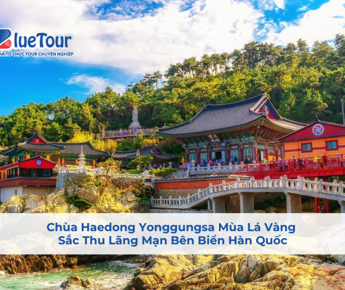 Chùa Haedong Yonggungsa Mùa Lá Vàng: Sắc Thu Lãng Mạn Bên Biển Hàn Quốc