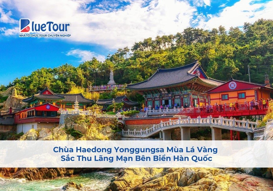 Chùa Haedong Yonggungsa Mùa Lá Vàng: Sắc Thu Lãng Mạn Bên Biển Hàn Quốc