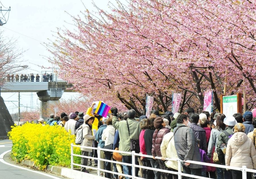CUNG ĐƯỜNG TOKYO - NÚI PHÚ SĨ TẾT NGUYÊN ĐÁN 2027