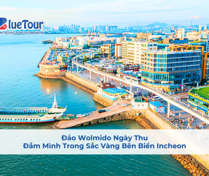 Đảo Wolmido Ngày Thu: Đắm Mình Trong Sắc Vàng Bên Biển Incheon