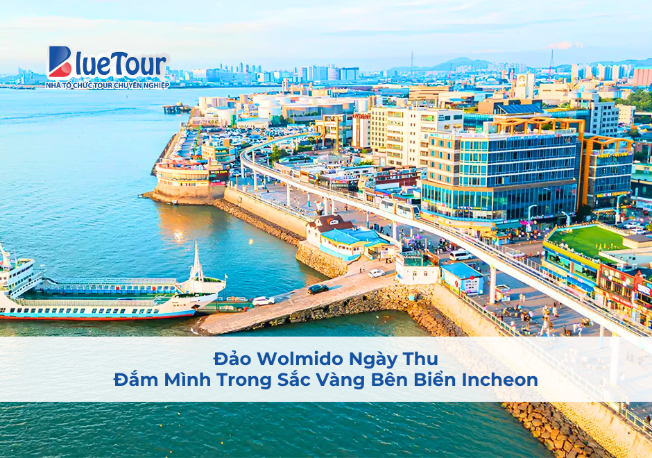 Đảo Wolmido Ngày Thu: Đắm Mình Trong Sắc Vàng Bên Biển Incheon