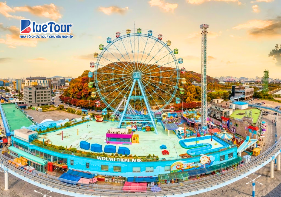 Đảo Wolmido Ngày Thu: Đắm Mình Trong Sắc Vàng Bên Biển Incheon