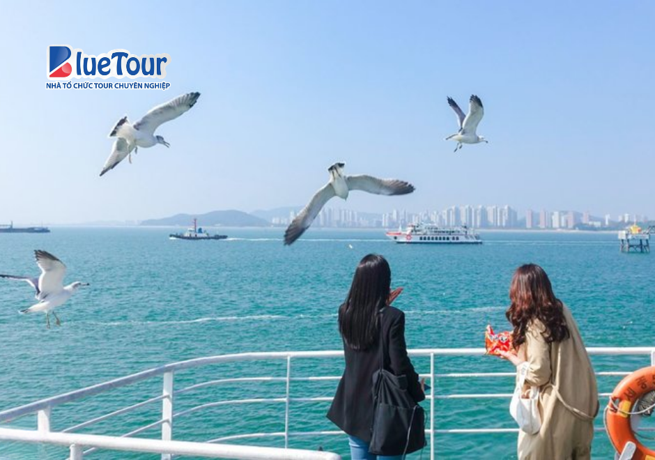Đảo Wolmido Ngày Thu: Đắm Mình Trong Sắc Vàng Bên Biển Incheon