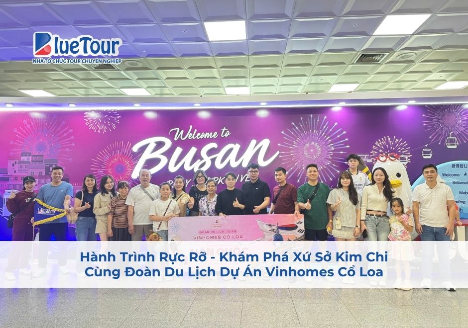 Hành Trình Rực Rỡ - Khám Phá Xứ Sở Kim Chi Cùng Đoàn Du Lịch Dự Án Vinhomes Cổ Loa