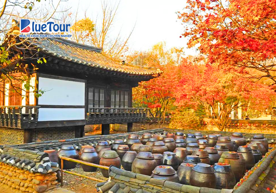 Korean Folk Village Trong Sắc Thu: Khám Phá Văn Hóa Hàn Quốc Giữa Mùa Lá Vàng