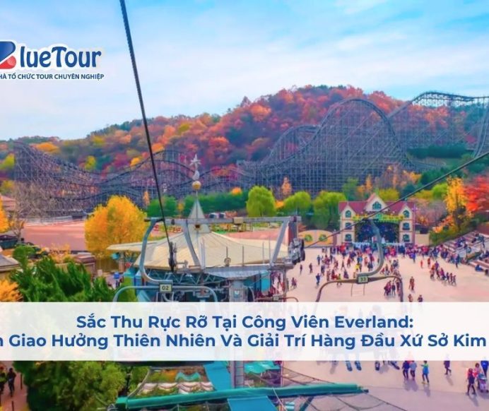 Sắc Thu Rực Rỡ Tại Công Viên Everland: Bản Giao Hưởng Thiên Nhiên Và Giải Trí Hàng Đầu Xứ Sở Kim Chi