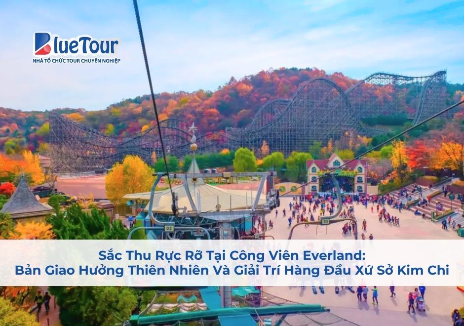 Sắc Thu Rực Rỡ Tại Công Viên Everland: Bản Giao Hưởng Thiên Nhiên Và Giải Trí Hàng Đầu Xứ Sở Kim Chi
