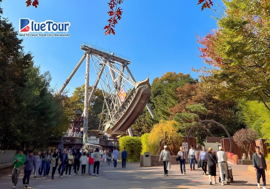 Sắc Thu Rực Rỡ Tại Công Viên Everland: Bản Giao Hưởng Thiên Nhiên Và Giải Trí Hàng Đầu Xứ Sở Kim Chi