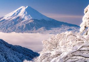 TẾT ĐINH MÙI Ở LÀNG CỔ SHIRAKAWA GO