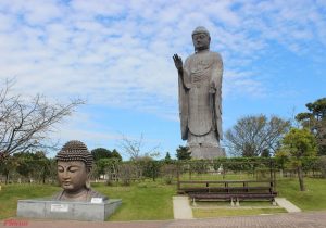 THIÊN ĐƯỜNG TUYẾT HOKKAIDO & LỄ HỘI TUYẾT SAPPORO TẾT NGUYÊN ĐÁN 2027