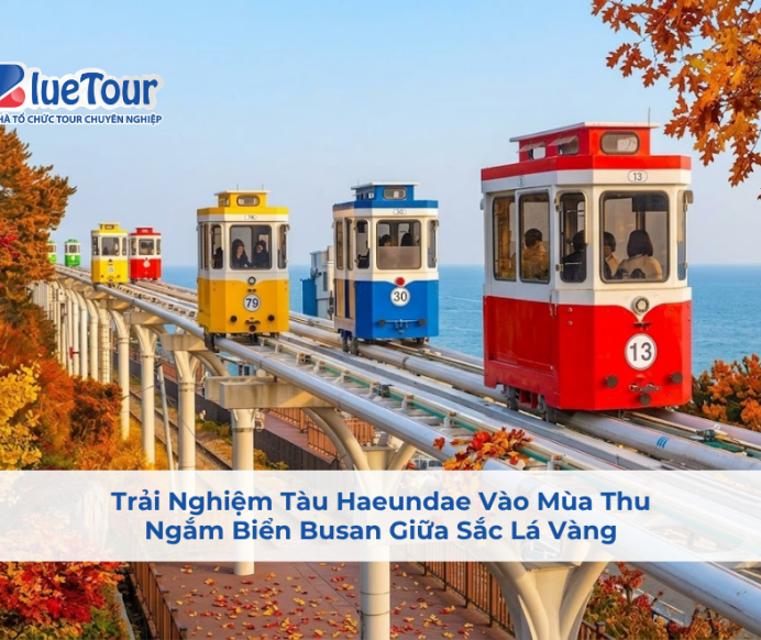 Trải Nghiệm Tàu Haeundae Vào Mùa Thu: Ngắm Biển Busan Giữa Sắc Lá Vàng