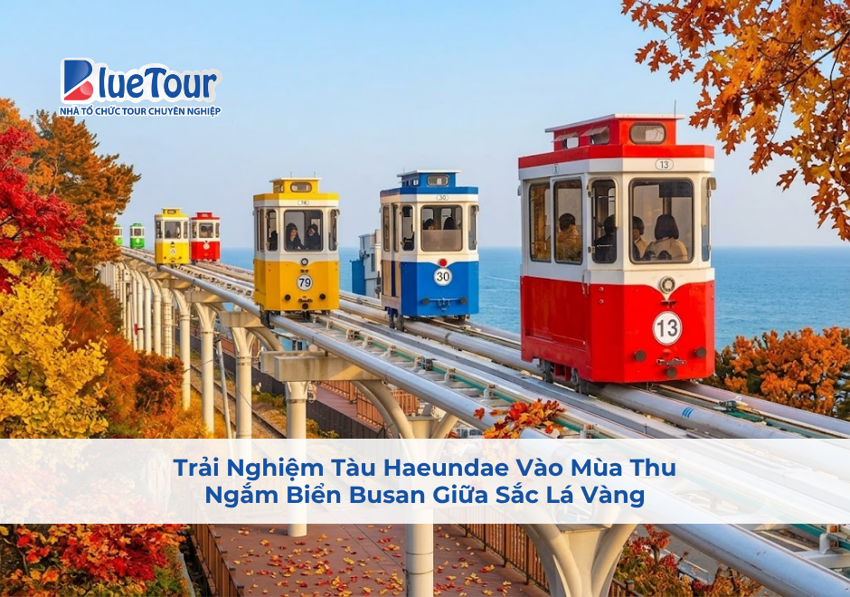 Trải Nghiệm Tàu Haeundae Vào Mùa Thu: Ngắm Biển Busan Giữa Sắc Lá Vàng