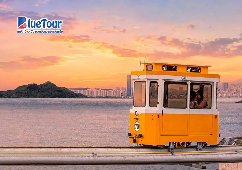 Trải Nghiệm Tàu Haeundae Vào Mùa Thu: Ngắm Biển Busan Giữa Sắc Lá Vàng